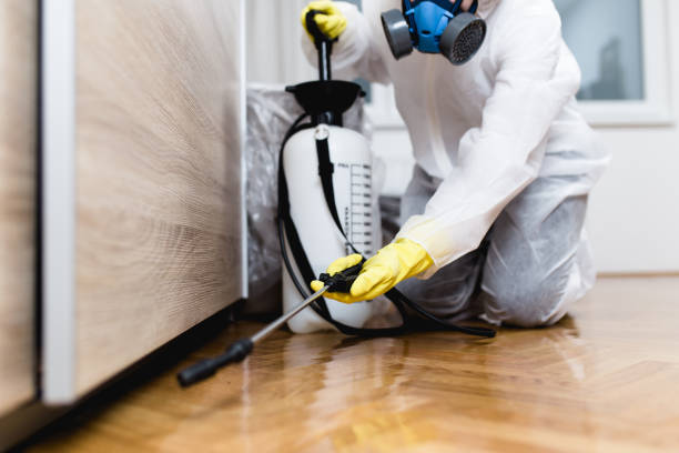 Best Pest Control for Businesses  in Hacienda Heights, CA