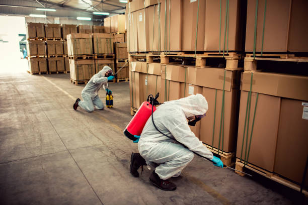 Best Flea Control Services  in Hacienda Heights, CA