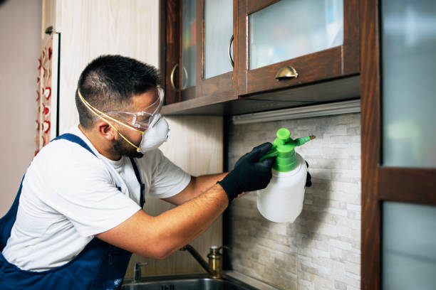 Best Bed Bug Extermination  in Hacienda Heights, CA