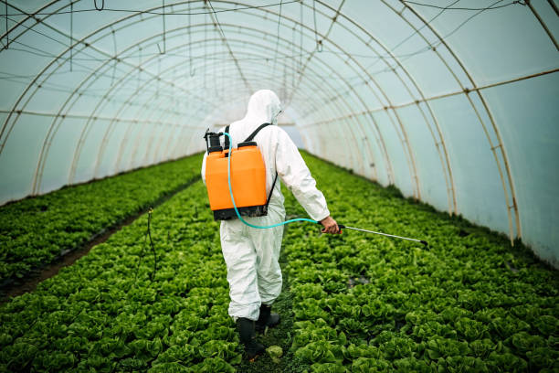 Best Pest Prevention Services  in Hacienda Heights, CA