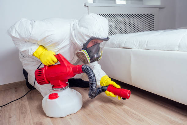 Best Pest Removal Services  in Hacienda Heights, CA