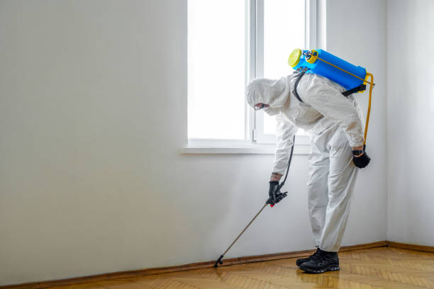 Best Rodent Control Near Me  in Hacienda Heights, CA