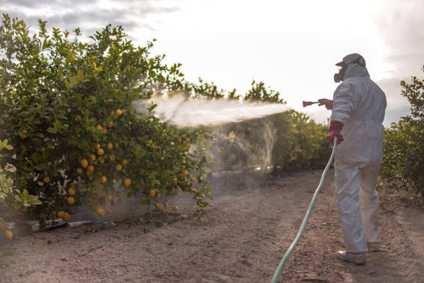 Trusted Hacienda Heights, CA Pest Control Experts