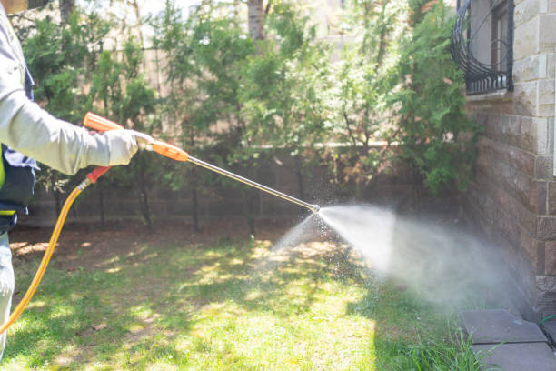 Best Residential Pest Control  in Hacienda Heights, CA