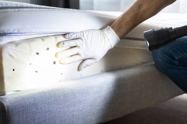 Hacienda Heights, CA Pest Control Pros