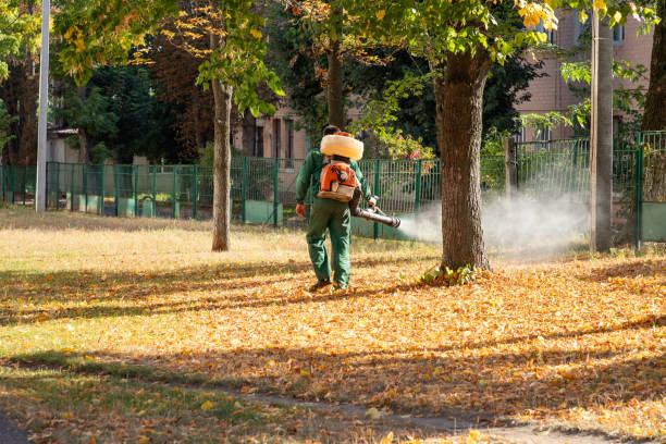 Best Best Pest Control Companies  in Hacienda Heights, CA