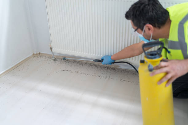 Best Pest Control Near Me  in Hacienda Heights, CA